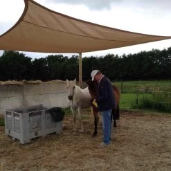 Sunfighters Rechthoek 3,5x5 Zand -Buitenparasols Winkel 1000013825 0111